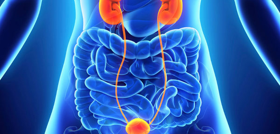 Urology at Paarasmani Hospital Pune, Hadpsar